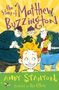 Andy Stanton: The Story of Matthew Buzzington, Buch