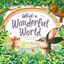 Igloo Books: What a Wonderful World, Buch