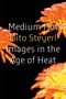 Hito Steyerl: Medium Hot, Buch