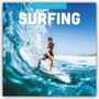 Red Robin: Surfing 2025 Square Wall Calendar, Buch