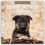 Robin Red: German Shepherd Puppies - Deutsche Schäferhunde Welpen 2026 - 16-Monatskalender, KAL