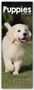 Avonside Publishing Ltd: Puppies - Welpen 2024, KAL