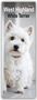 Avonside Publishing Ltd: West Highland White Terrier - Westies 2024, Kalender