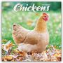 Avonside Publishing Ltd: Chickens - Hühner 2025 - 16-Monatskalender, Kalender