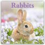 Avonside Publishing Ltd: Rabbits - Kaninchen 2025 - 16-Monatskalender, Kalender