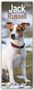 Avonside Publishing Ltd: Jack Russell - Jack Russell Terrier 2025, KAL