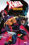 Jeph Loeb: X-Men of Apocalypse, Buch