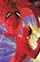 Paul Jenkins: Spider-Man & Daredevil, Buch