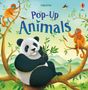 Anna Milbourne: Pop-Up Animals, Buch