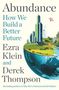 Ezra Klein: Abundance, Buch