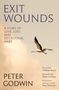 Peter Godwin: Exit Wounds, Buch