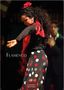 H. W. Schawe: Flamenco color 2025, KAL