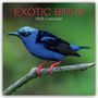 Gifted Stationery Co. Ltd: Exotic Birds - Exotische Vögel 2025 - 16-Monatskalender, Kalender