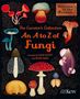 „An A to Z of Fungi“ steht im Zentrum. Verschiedene farbige Pilzillustrationen umgeben den Titel., Buch