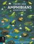 Text: "There are Amphibians Everywhere", "Britta Teckentrup". Illustration mit Fröschen auf Seerosen in einem Teich., Buch
