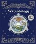 "Wizardology", darunter "The Secrets of Merlin." Oben und unten stilisierte Illustrationen mit Eule und Tiermotiven., Buch