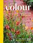 Titel: "A YEAR OF colour". Text: "How to create a bold and bright garden". Blumen in leuchtenden Farben. Links gelber Streifen., Buch