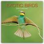 Gifted Stationery Co. Ltd: Exotic Birds - Exotische Vögel 2026 - 16-Monatskalender, KAL