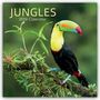 Gifted Stationery Co. Ltd: Jungles - Dschungel 2026 - 16-Monatskalender, KAL