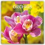 Robin Red: Orchids - Orchideen 2027 - 16-Monatskalender, KAL