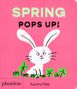 „SPRING POPS UP!“ Oben in Grün und Schwarz. Darunter ein lächelnder weißer Hase mit Kleeblättern auf rosa Hintergrund.