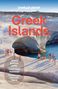 Ryan Berkmoes Ver: Lonely Planet Greek Islands, Buch