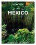 Nellie Huang: Lonely Planet Experience Mexico, Buch