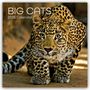 The Gifted Stationery Co. Ltd: Big Cats - Raubkatzen - Löwen Tiger Geparden Leoparden 2025 - 16-Monatskalender, Kalender