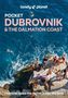 Peter Dragicevich: Lonely Planet Pocket Dubrovnik & the Dalmatian Coast, Buch