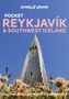 Titel: "Pocket Reykjavik & Southwest Iceland". Im Hintergrund: Hallgrimskirkja vor klarem Himmel, umgeben von Blumen., Buch