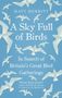Matt Merritt: A Sky Full of Birds, Buch