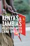 Text: "Jodie Yuzhou Sun - Kenya’s & Zambia’s Relations with China 1949-2019." Hände halten kleine chinesische Flaggen., Buch