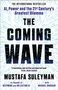 Mustafa Suleyman: The Coming Wave, Buch