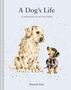 Hannah Dale: A Dog's Life, Buch
