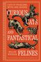 Willow Winsham: Curious Cats and Fantastical Felines, Buch