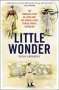 Sasha Abramsky: Little Wonder, Buch