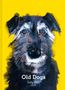 Sally Muir: Old Dogs, Buch