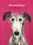 Sally Muir: Rescue Dogs, Buch