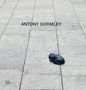 : Antony Gormley, Buch