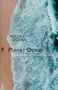 Michel Odent: Planet Ocean, Buch