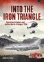 Arrigo Velicogna: Into the Iron Triangle, Buch