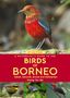 Wong Tsu Shi: A Naturalist's Guide to the Birds of Borneo, Buch