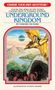 „Choose Your Own Adventure: Underground Kingdom“ von Edward Packard. Illustration: Person auf einem großen Vogel über Landschaft., Buch