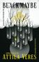 Attila Veres: The Black Maybe, Buch