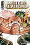 Kohei Horikoshi: My Hero Academia, Vol. 41, Buch