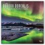 : Aurora Borealis: The Magnificent Northern Lights - Nordlicht 2021 - 18-Monatskalender, Buch