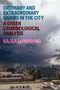 Text: "Ordinary and Extraordinary Harms in the City: A Green Criminological Analysis - Kajsa Lundberg." 

Bewölkter Himmel über Stadtansicht.