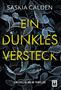 Titel: "Ein dunkles Versteck". Autor: Saskia Calden. Blätter überdecken ein Gesicht mit hervortretenden Augen., Buch