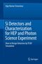 Ajay Kumar Srivastava: Si Detectors and Characterization for HEP and Photon Science Experiment, Buch