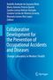 : Collaborative Development for the Prevention of Occupational Accidents and Diseases, Buch